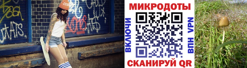hydra   Нестеровская  Псилоцибиновые грибы Cubensis 